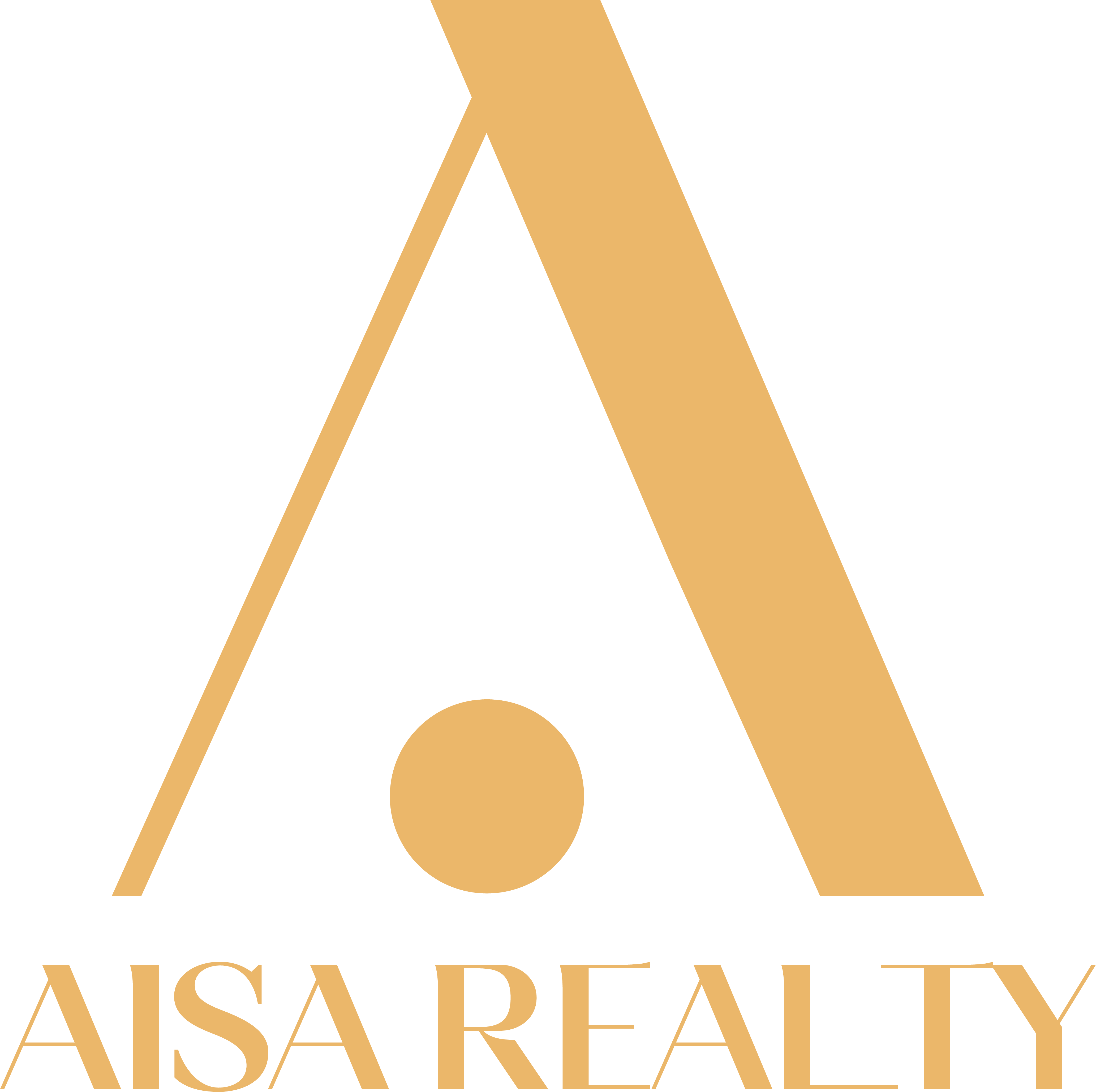 AISA Real Estate Services